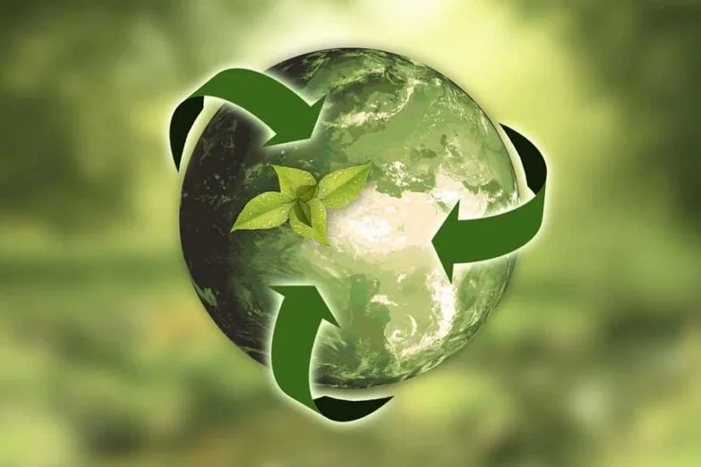 Sostenibilidad Naturaleza Tierra Hojas Flechas Sostenibilidad: La Ropa Interior Green Marca Tendencia - Moda Sostenible