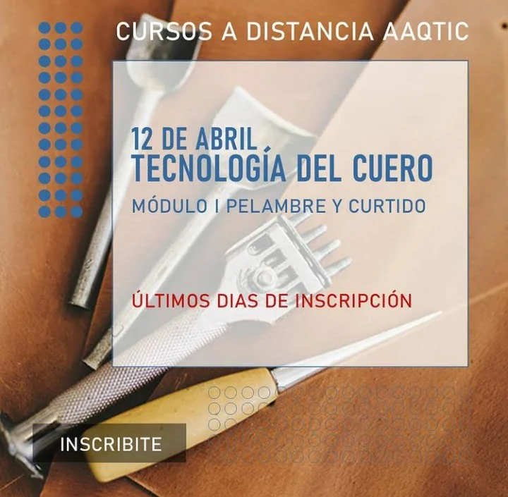 Curso Tecnología Del Cuero